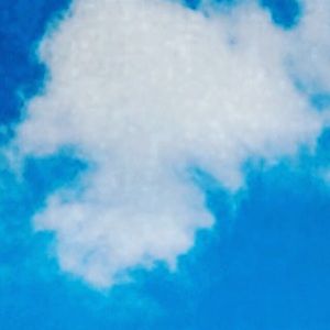 Meet your Posher, Nelson